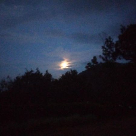 Abiyal Mountain Stay Madikeri Exterior foto