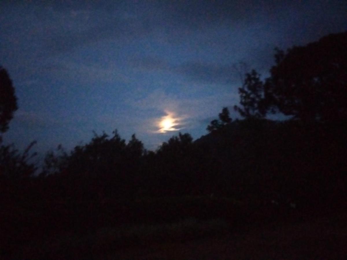 Abiyal Mountain Stay Madikeri Exterior foto